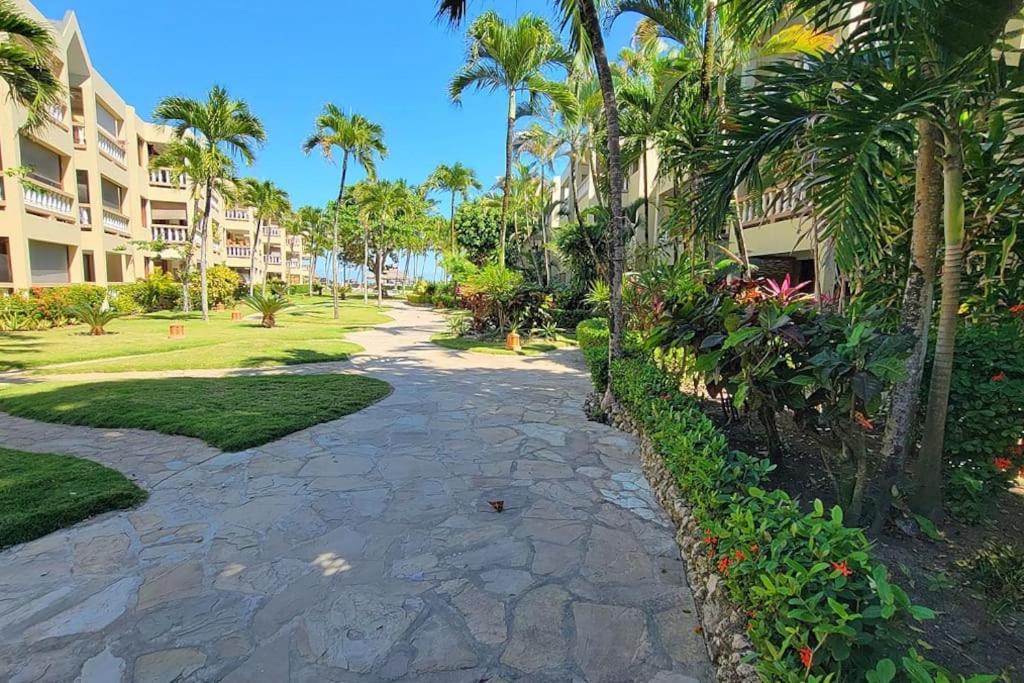 Oceanview Penthouse On The Beach Apartman Cabarete Kültér fotó